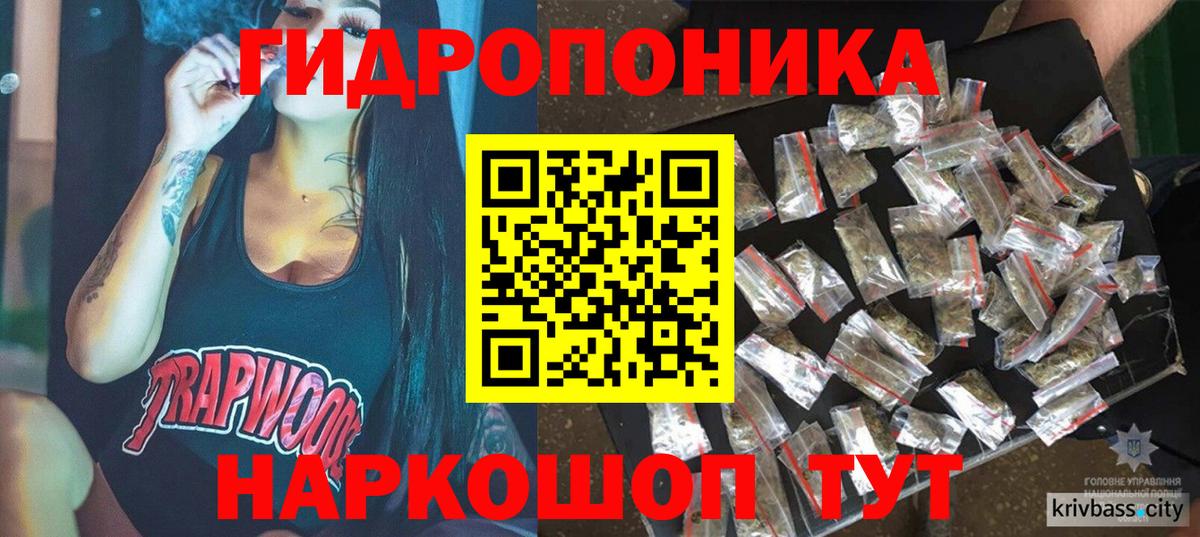 Бошки Шишки план Великий Устюг